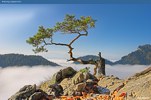 Pieniny, Sokolica