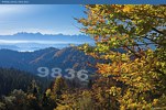 Gorce - widok na Tatry